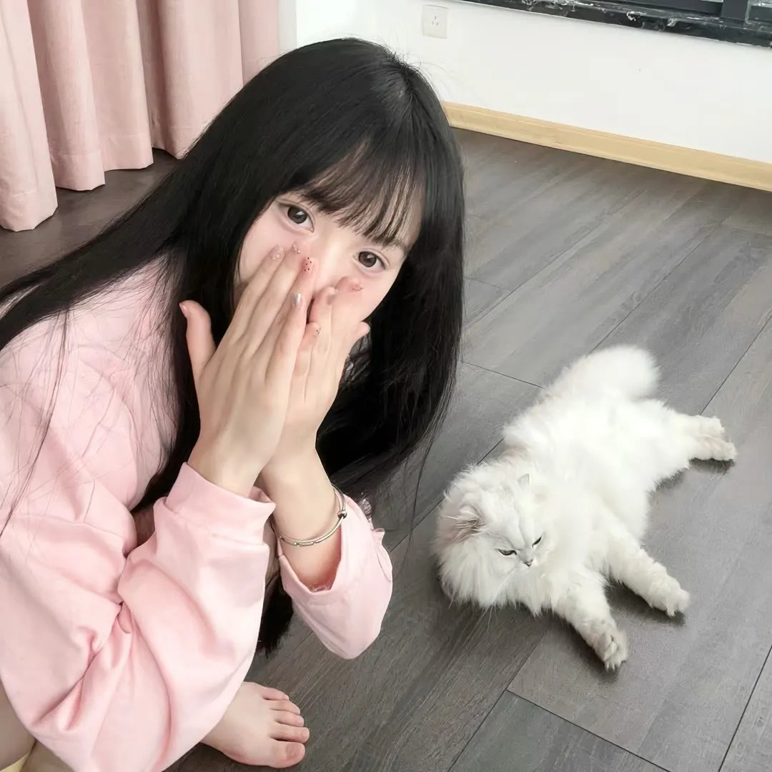 了不起的小家伙们